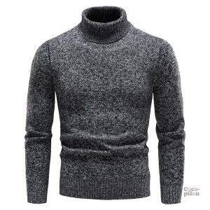 Pull col roulé homme, idéal pour les journées fraîches